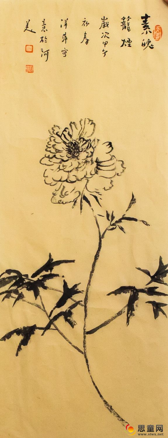 AS0A7228.jpg