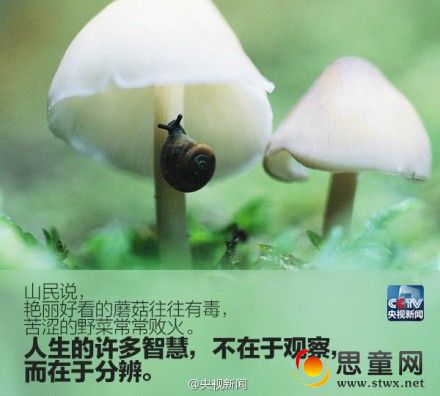 05.jpg