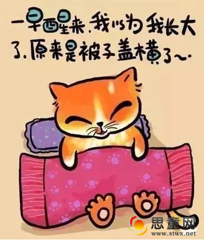 QQͼƬ20180927220022.png