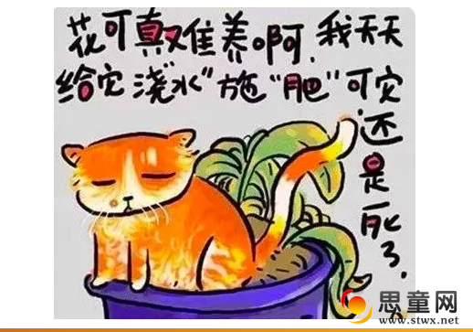 QQͼƬ20180927221351.png