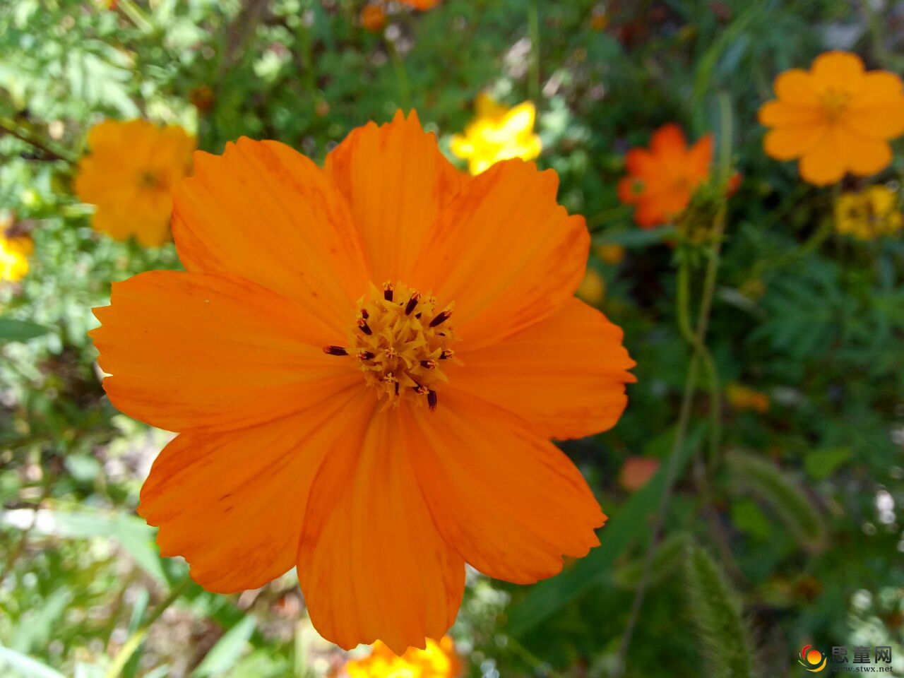 QQͼƬ20200908164632.jpg